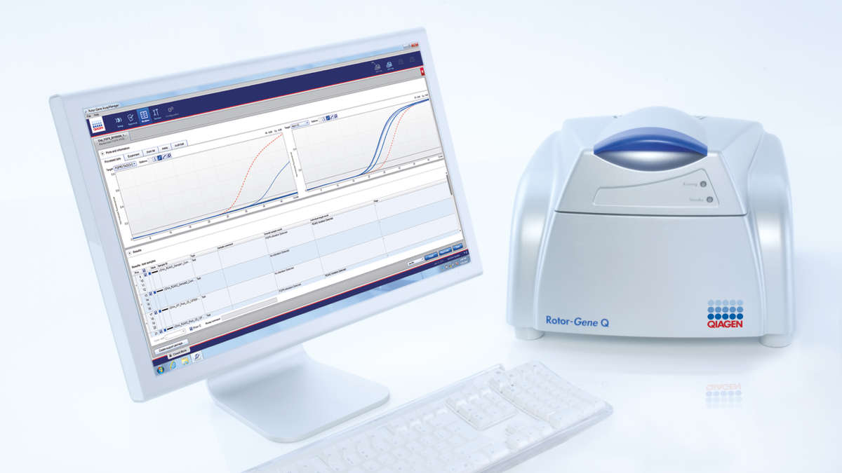 rotor gene assay manager